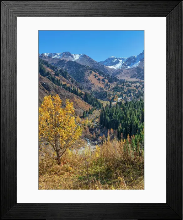 Framed Print : Medeu, outdoor speed skating and bandy rinke, Almaty, Kazakhstan Framed Print : Medeu, outdoor speed skating and bandy rinke, Almaty, Kazakhstan