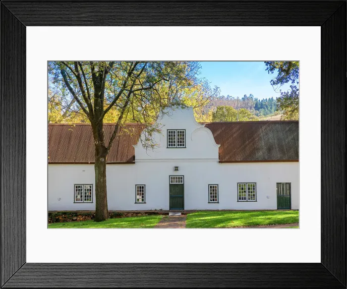 Framed Print : Autumn Colours at Rustenberg Vineyard, Stellenbosch, Western Cape Province, South Africa Framed Print : Autumn Colours at Rustenberg Vineyard, Stellenbosch, Western Cape Province, South Africa