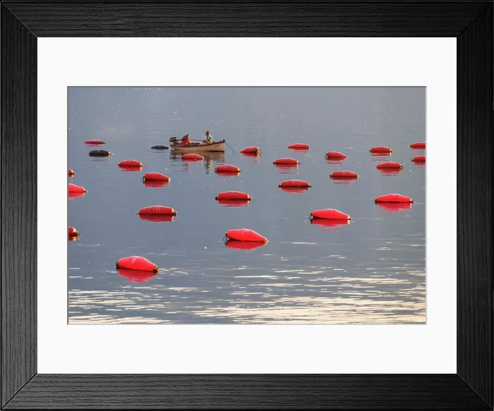 Framed Print : Fishing in Kotor Bay, Montenegro Framed Print : Fishing in Kotor Bay, Montenegro