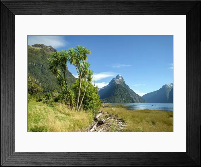Framed Print : New Zealand; South Island, Fiordland National Park, Milford Sound, UNESCO World Heritage, Mitre Peak with Cabbage tree Framed Print : New Zealand; South Island, Fiordland National Park, Milford Sound, UNESCO World Heritage, Mitre Peak with Cabbage tree