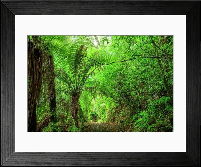 Framed Print : New Zealand, North Island, Tongariro National Park, Lake Rotopounamu track
