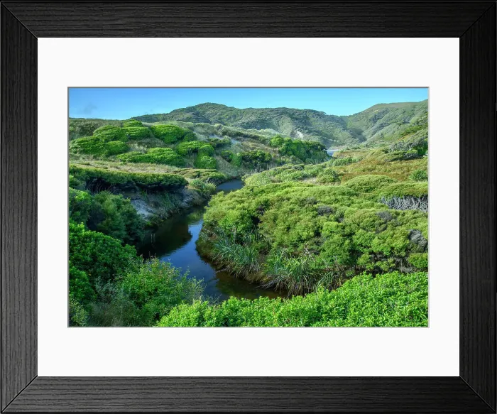 Framed Print : New Zealand, South Island, Farwell Spit, Wharariki Beach, coastal dunes Framed Print : New Zealand, South Island, Farwell Spit, Wharariki Beach, coastal dunes