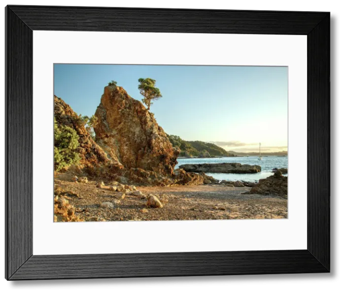 Framed Print : New Zealand, North Island, Northland, Bay of Islands, Russel, Matauwhi Framed Print : New Zealand, North Island, Northland, Bay of Islands, Russel, Matauwhi