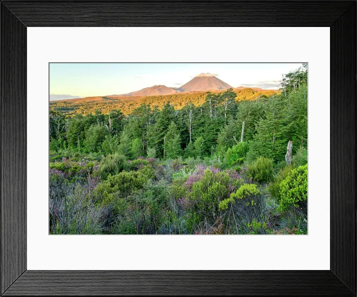 Framed Print : New Zealand, North Island, Tongariro National Park, Mount Tongariro