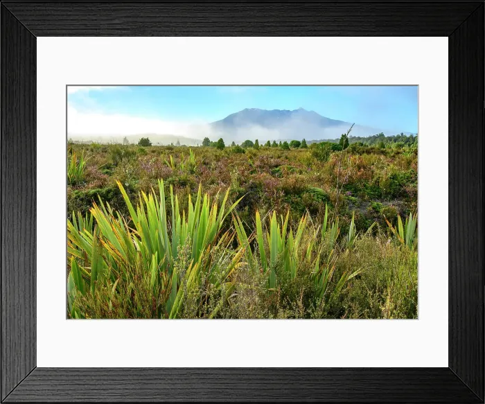 Framed Print : New Zealand, North Island, Tongariro National Park, Mt. Ruapehu Framed Print : New Zealand, North Island, Tongariro National Park, Mt. Ruapehu