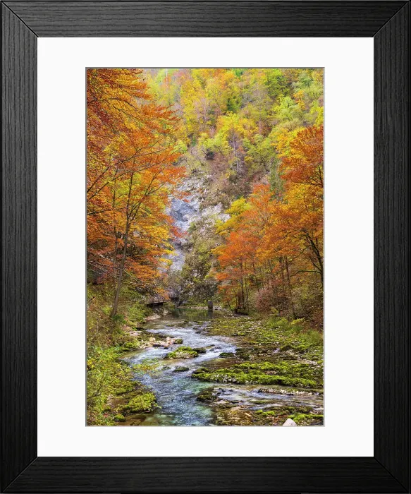 Framed Print : Vintgar Gorge or Bled Gorg, Upper Carniola, Slovenia Framed Print : Vintgar Gorge or Bled Gorg, Upper Carniola, Slovenia
