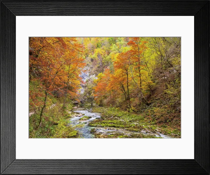 Framed Print : Vintgar Gorge or Bled Gorg, Upper Carniola, Slovenia