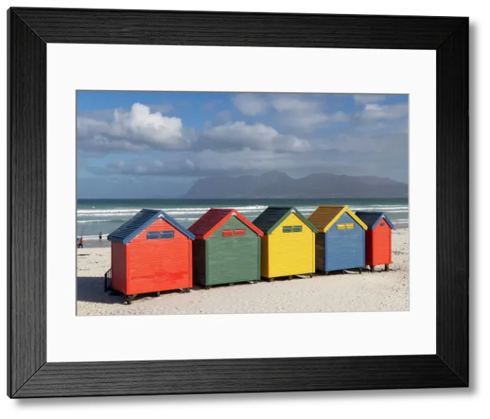 Framed Print : Colourful beach huts, Muizenberg, Cape Town, Western Cape, South Africa Framed Print : Colourful beach huts, Muizenberg, Cape Town, Western Cape, South Africa