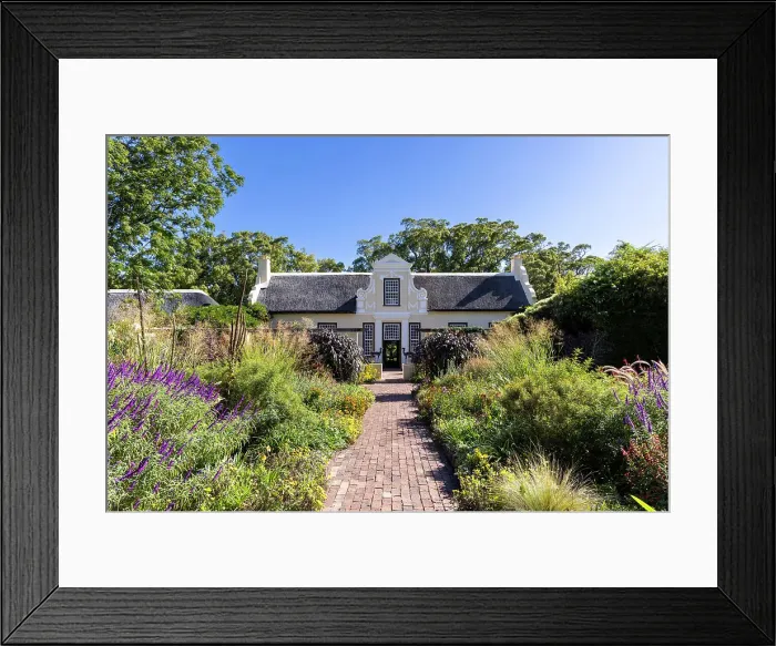Framed Print : Vergelegen Wine estate, Franschhoek, Western Cape, South Africa