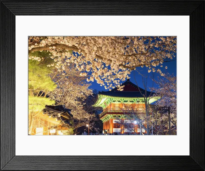 Framed Print : Woljeonggyo Bridge and cherry blossom at dusk, Gyeongju, South Korea Framed Print : Woljeonggyo Bridge and cherry blossom at dusk, Gyeongju, South Korea