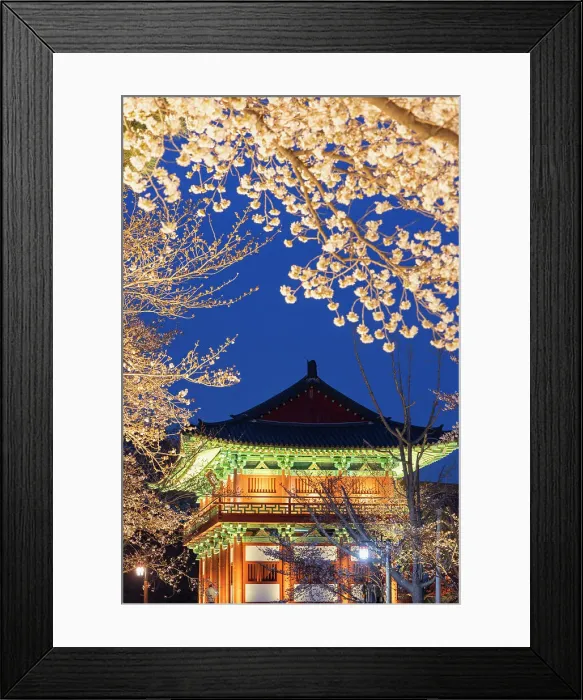 Framed Print : Woljeonggyo Bridge and cherry blossom at dusk, Gyeongju, South Korea Framed Print : Woljeonggyo Bridge and cherry blossom at dusk, Gyeongju, South Korea