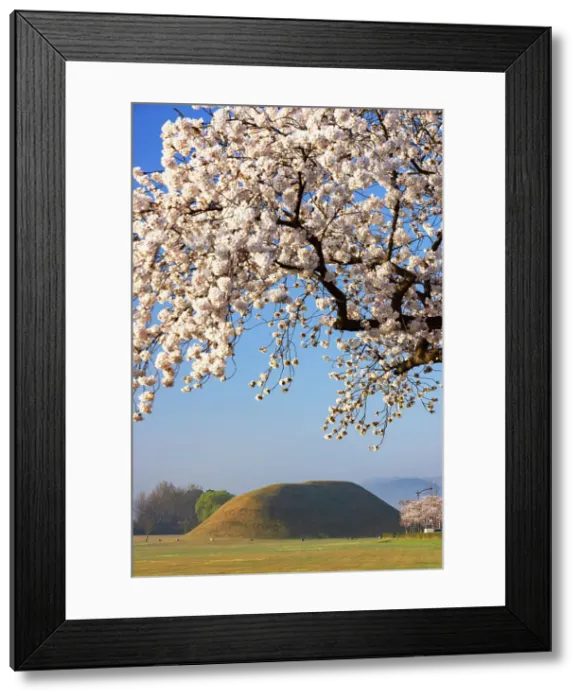 Framed Print : Royal tombs of Inwang-dong (UNESCO World Heritage Site) and cherry blossom, Gyeongju, South Korea Framed Print : Royal tombs of Inwang-dong (UNESCO World Heritage Site) and cherry blossom, Gyeongju, South Korea