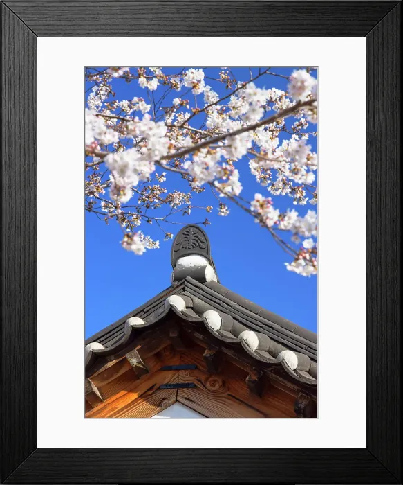 Framed Print : Detail of house in Gyeongju Gyochon Traditional Village, Gyeongju, South Korea Framed Print : Detail of house in Gyeongju Gyochon Traditional Village, Gyeongju, South Korea