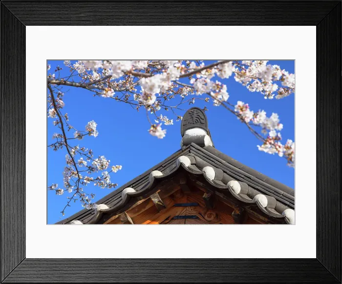 Framed Print : Detail of house in Gyeongju Gyochon Traditional Village, Gyeongju, South Korea Framed Print : Detail of house in Gyeongju Gyochon Traditional Village, Gyeongju, South Korea