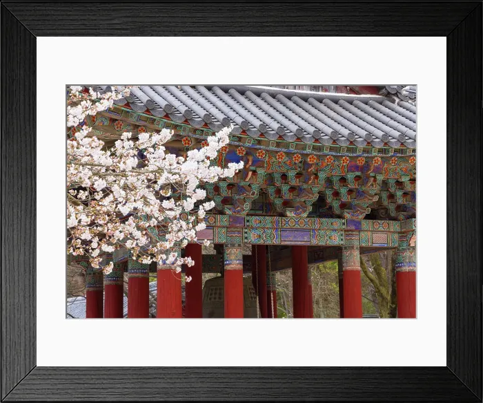 Framed Print : Bulguksa Temple (UNESCO World Heritage Site), Gyeongju, South Korea Framed Print : Bulguksa Temple (UNESCO World Heritage Site), Gyeongju, South Korea