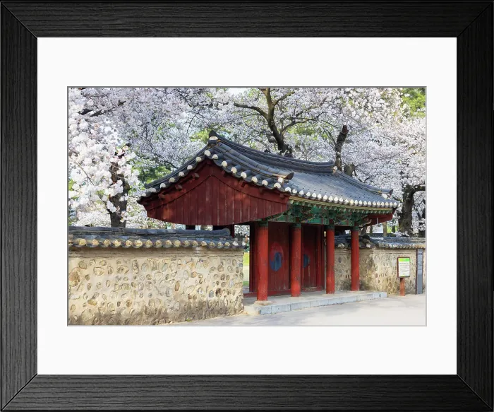 Framed Print : Cherry blossom at Royal Tomb of King Michu in Daereungwon Tomb Complex (UNESCO World Heritage Site), Gyeongju, South Korea Framed Print : Cherry blossom at Royal Tomb of King Michu in Daereungwon Tomb Complex (UNESCO World Heritage Site), Gyeongju, South Korea