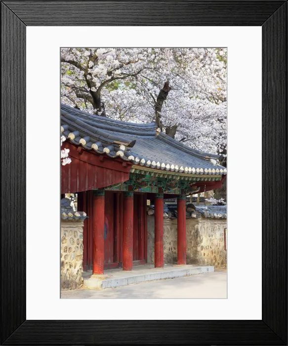 Framed Print : Cherry blossom at Royal Tomb of King Michu in Daereungwon Tomb Complex (UNESCO World Heritage Site), Gyeongju, South Korea Framed Print : Cherry blossom at Royal Tomb of King Michu in Daereungwon Tomb Complex (UNESCO World Heritage Site), Gyeongju, South Korea