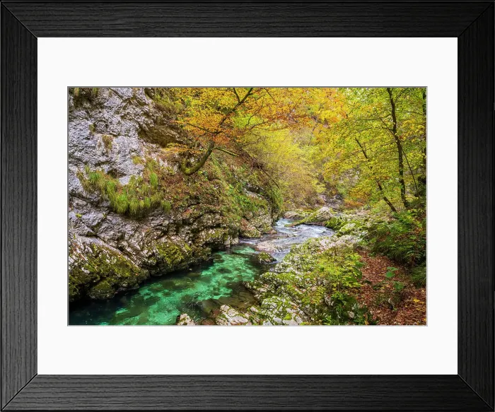 Framed Print : Vintgar Gorge or Bled Gorg, Upper Carniola, Slovenia Framed Print : Vintgar Gorge or Bled Gorg, Upper Carniola, Slovenia