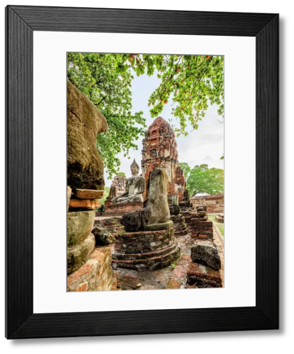 Framed Print : Ancient statue of Buddha framed by lush plants, Ayutthaya historical park, Thailand