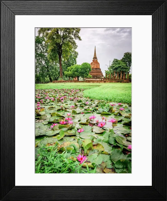 Framed Print : Lotus water lily floating in a pond with Wat Sa Si buddhist temple on background, Sukhothai Historical Park, Sukhothai, Thailand Framed Print : Lotus water lily floating in a pond with Wat Sa Si buddhist temple on background, Sukhothai Historical Park, Sukhothai, Thailand
