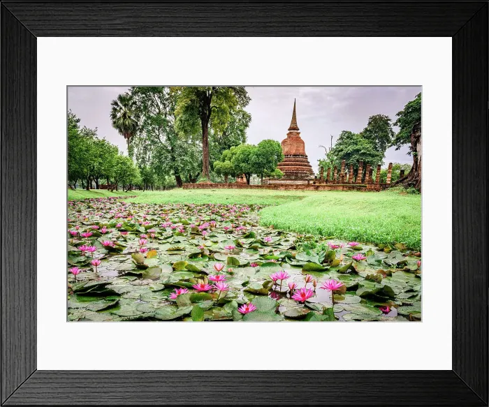Framed Print : Lotus flowers floating on water in the green meadows surrounding Wat Sa Si temple, Sukhothai Historical Park, Sukhothai, Thailand Framed Print : Lotus flowers floating on water in the green meadows surrounding Wat Sa Si temple, Sukhothai Historical Park, Sukhothai, Thailand