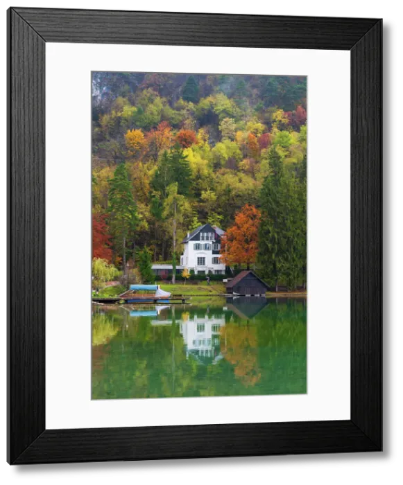 Framed Print : Lake Bled, Lake Bled, Upper Carniola Region, Gorenjska, Slovenia Framed Print : Lake Bled, Lake Bled, Upper Carniola Region, Gorenjska, Slovenia
