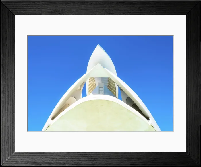 Framed Print : Palau de les Arts Reina Sofia (Palacio de las Artes Reina Sofia, or Queen Sofia Palace of the Arts) of Ciudad de las Artes y las Ciencias (The City of Arts and Sciences), Valencia, Spain Framed Print : Palau de les Arts Reina Sofia (Palacio de las Artes Reina Sofia, or Queen Sofia Palace of the Arts) of Ciudad de las Artes y las Ciencias (The City of Arts and Sciences), Valencia, Spain