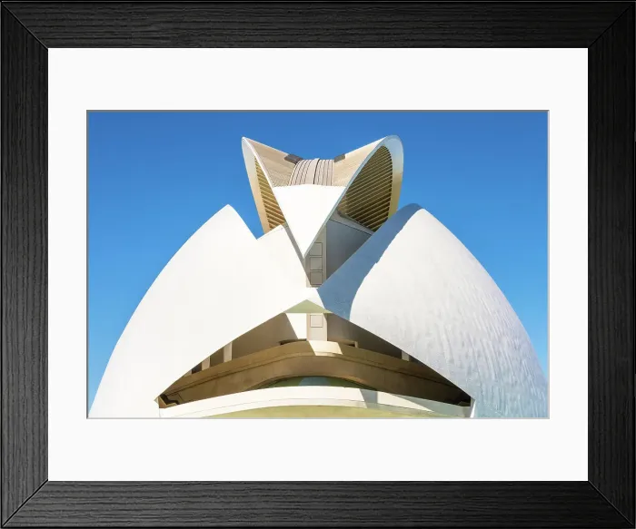 Framed Print : Palau de les Arts Reina Sofia (Palacio de las Artes Reina Sofia, or Queen Sofia Palace of the Arts) of Ciudad de las Artes y las Ciencias (The City of Arts and Sciences), Valencia, Spain
