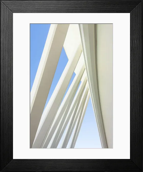 Framed Print : The exterior details of the Museu de les Ciencies Principe Felipe (Principe Felipe Science Museum) of Ciudad de las Artes y las Ciencias (The City of Arts and Sciences), Valencia, Spain Framed Print : The exterior details of the Museu de les Ciencies Principe Felipe (Principe Felipe Science Museum) of Ciudad de las Artes y las Ciencias (The City of Arts and Sciences), Valencia, Spain