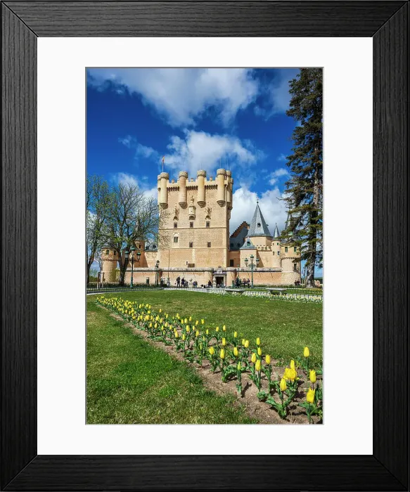 Framed Print : Alcazar castle, Segovia, Castile and Leon, Spain Framed Print : Alcazar castle, Segovia, Castile and Leon, Spain