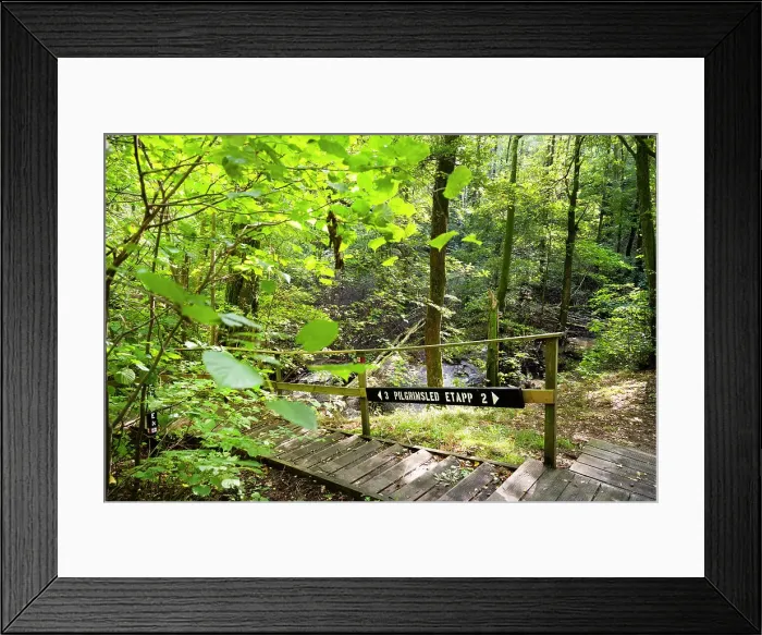 Framed Print : Trails in Vattlefjall Nature Reserve, Sweden Framed Print : Trails in Vattlefjall Nature Reserve, Sweden