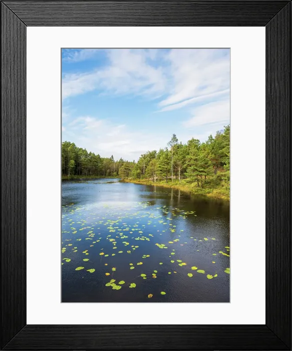 Framed Print : Vattlefjall Nature Reserve, Sweden Framed Print : Vattlefjall Nature Reserve, Sweden