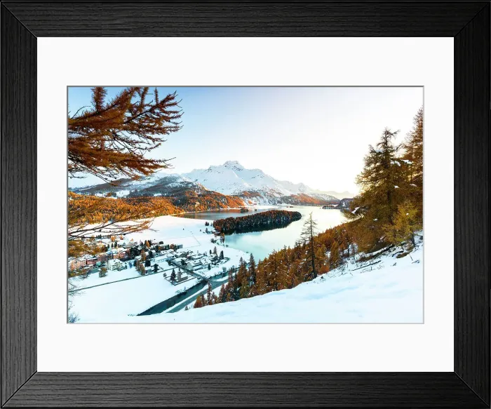 Framed Print : Larch trees surrounding lake Sils and Piz Da La Margna, St. Moritz, Graubunden, Engadin, Switzerland Framed Print : Larch trees surrounding lake Sils and Piz Da La Margna, St. Moritz, Graubunden, Engadin, Switzerland