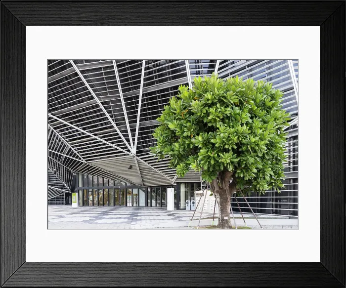 Framed Print : Kaohsiung Music Centre, Kaohsiung, Taiwan Framed Print : Kaohsiung Music Centre, Kaohsiung, Taiwan