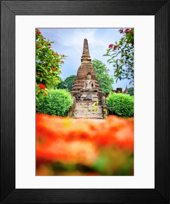Framed Print : Wat Mahathat buddhist temple framed by flowering plants, Sukhothai Historical Park, Sukhothai, Thailand Framed Print : Wat Mahathat buddhist temple framed by flowering plants, Sukhothai Historical Park, Sukhothai, Thailand