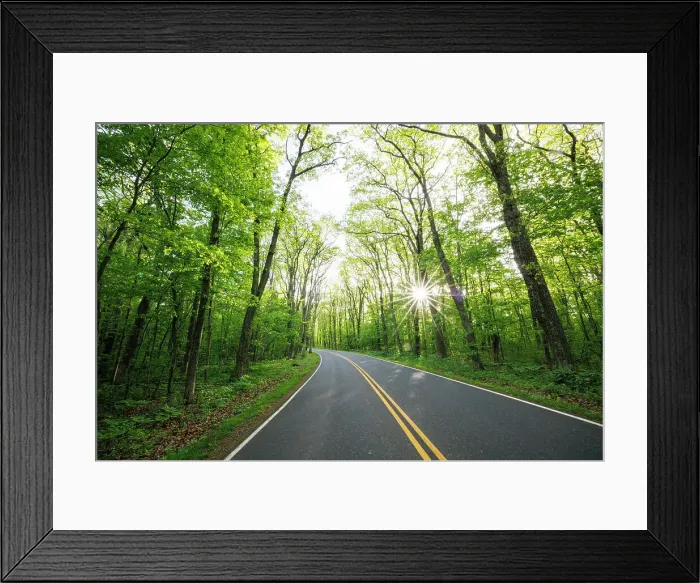 Framed Print : Skyline Drive, Shenandoah National Park, Virginia, USA Framed Print : Skyline Drive, Shenandoah National Park, Virginia, USA