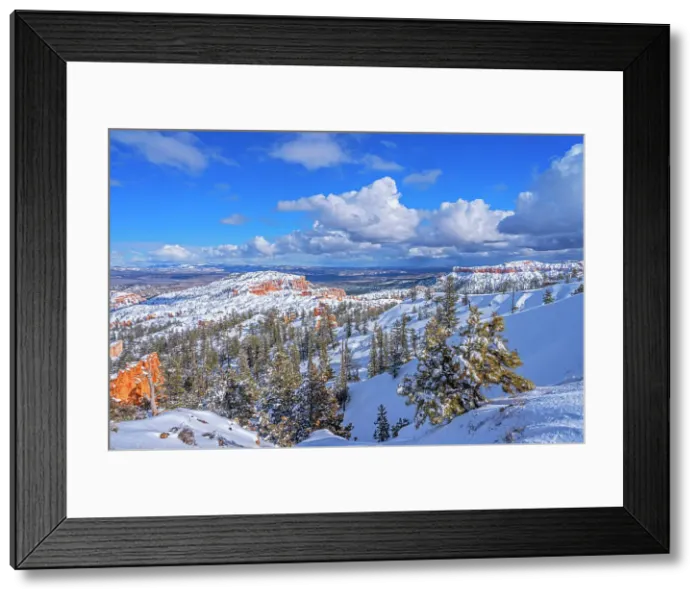Framed Print : Bryce Canyon National Park, Utah, USA Framed Print : Bryce Canyon National Park, Utah, USA