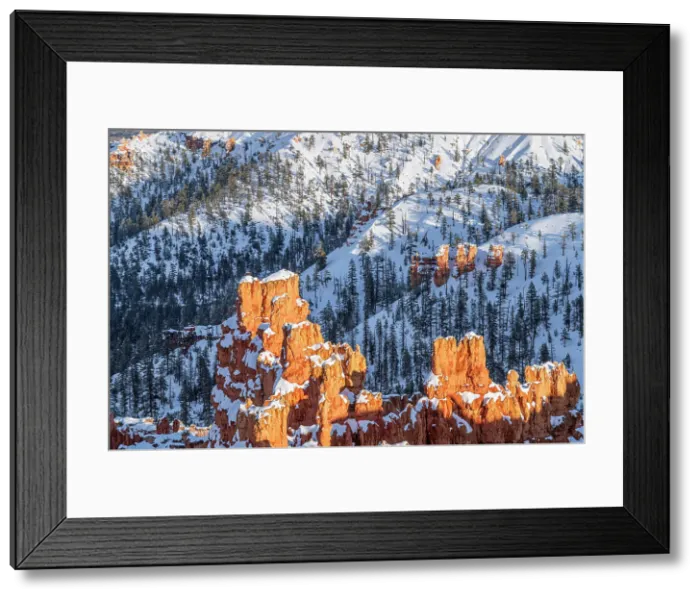 Framed Print : Bryce Canyon National Park, Utah, USA Framed Print : Bryce Canyon National Park, Utah, USA