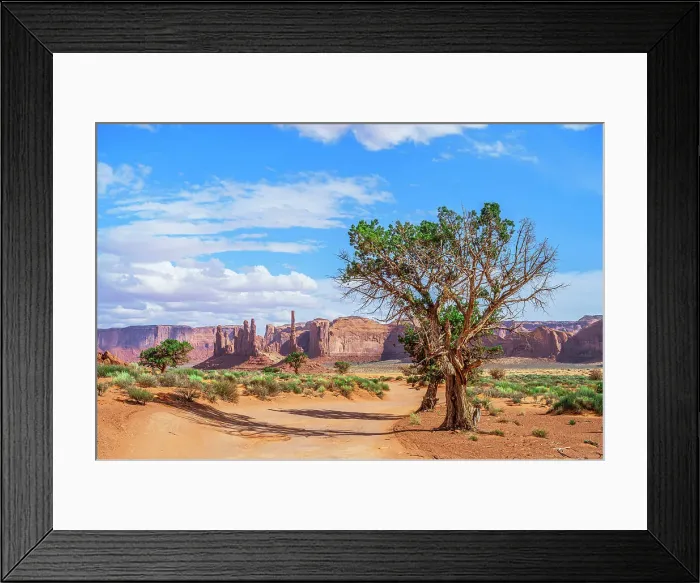 Framed Print : Monument Valley, view at Yei Bi Chei and Totem Pole rock columns, Arizona / Utah, USA