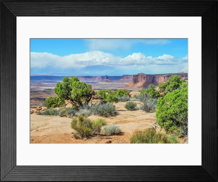 Framed Print : Grand view Point Overlook Trail, Canyonlands National Park, Utah, USA Framed Print : Grand view Point Overlook Trail, Canyonlands National Park, Utah, USA