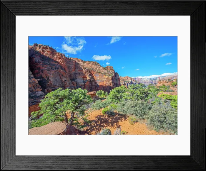 Framed Print : Canyon Overlook Trail, Zion National Park, Utah, USA Framed Print : Canyon Overlook Trail, Zion National Park, Utah, USA