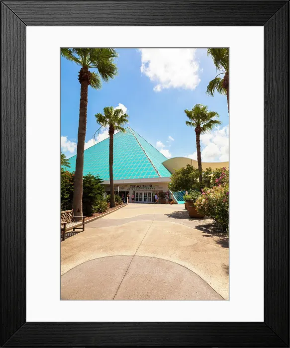 Framed Print : Moody Gardens, Galveston, Texas, USA Framed Print : Moody Gardens, Galveston, Texas, USA
