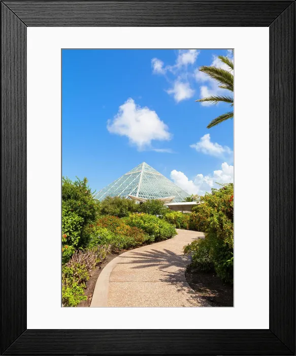 Framed Print : Moody Gardens, Galveston, Texas, USA Framed Print : Moody Gardens, Galveston, Texas, USA