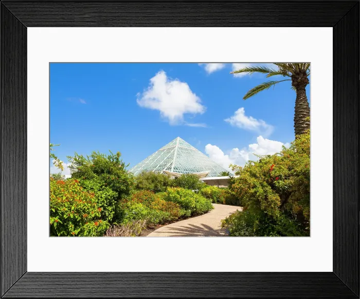 Framed Print : Moody Gardens, Galveston, Texas, USA Framed Print : Moody Gardens, Galveston, Texas, USA