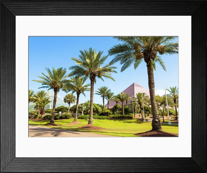 Framed Print : Moody Gardens, Galveston, Texas, USA Framed Print : Moody Gardens, Galveston, Texas, USA