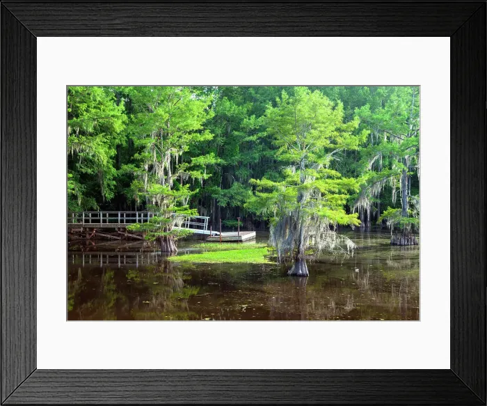 Framed Print : Caddo Lake, Texas, USA Framed Print : Caddo Lake, Texas, USA
