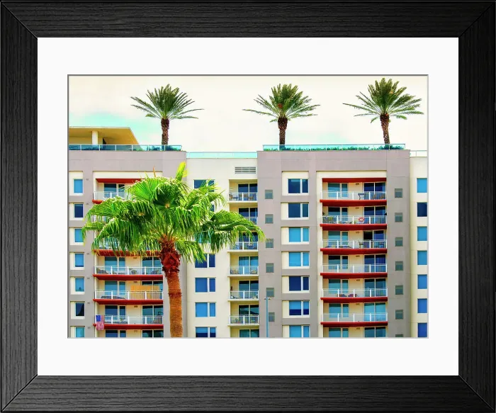 Framed Print : USA, Florida, Saint Petersburg, Pinellas County, Apartments, Downtown, Palm Trees, Tampa Bay Framed Print : USA, Florida, Saint Petersburg, Pinellas County, Apartments, Downtown, Palm Trees, Tampa Bay