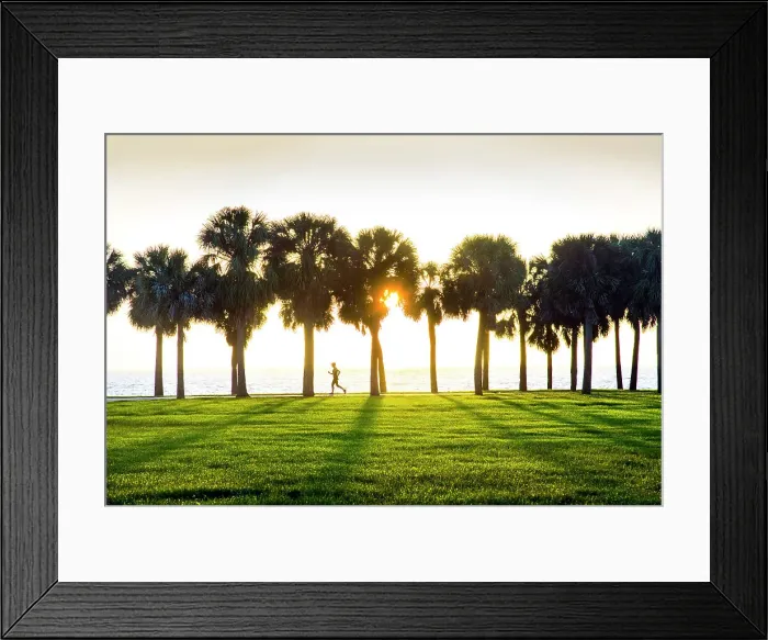 Framed Print : USA, Florida, Saint Petersburg, Pinellas County, Tampa Bay, Vinoy Park, Runner, Sunrise Framed Print : USA, Florida, Saint Petersburg, Pinellas County, Tampa Bay, Vinoy Park, Runner, Sunrise