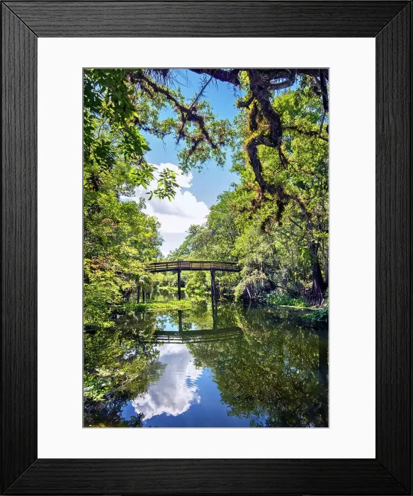 Framed Print : USA, Florida, Tampa, Hillsborough County, Hillsborough River State Park, One Of The Eight Original Florida State Parks Framed Print : USA, Florida, Tampa, Hillsborough County, Hillsborough River State Park, One Of The Eight Original Florida State Parks