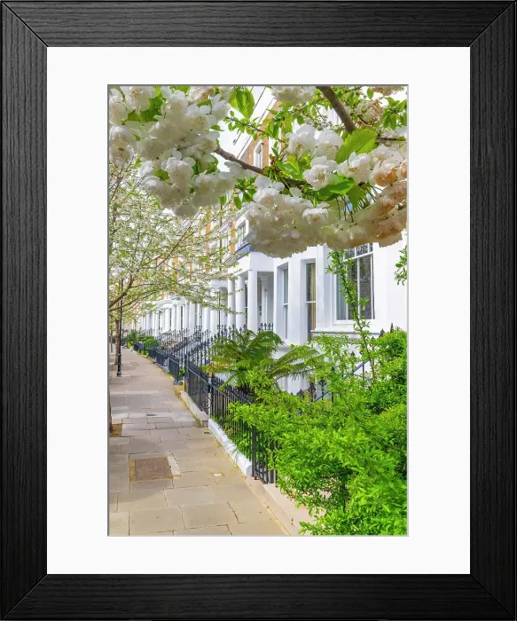 Framed Print : UK, England, London, Kensington and Chelsea, Ladbroke Grove, Blenheim Crescent